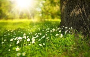 spring health tips for seniors